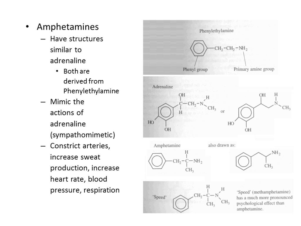 Amphetamines Have structures similar to adrenaline Both are derived from Phenylethylamine Mimic the actions